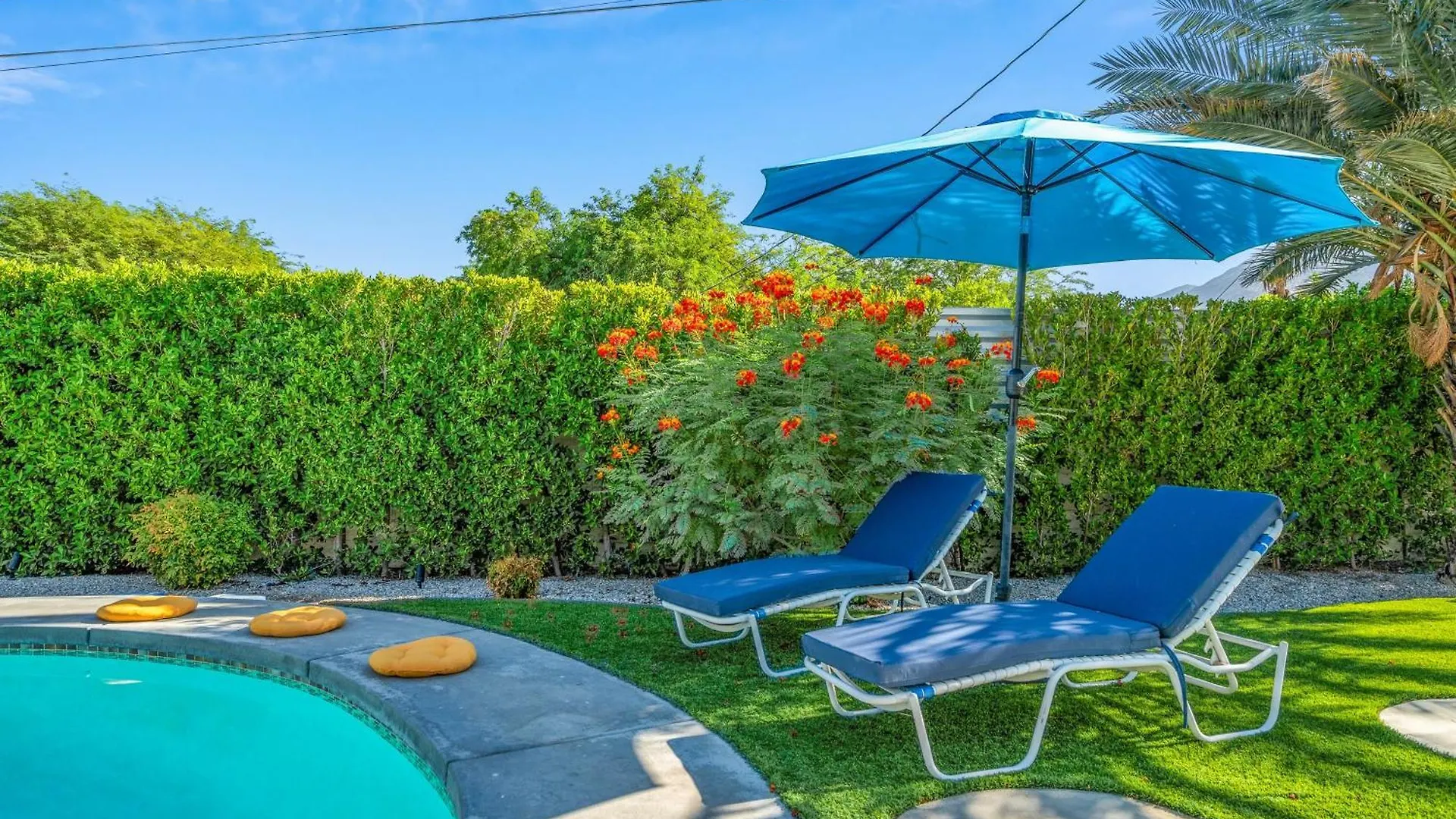 פאלם ספרינגס Modern Alexander Pool Home Permit# 3961 בית נופש פאלם ספרינגס